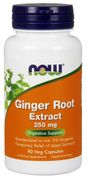 Ginger Root Extract 250 mg - 90 VCaps, NOW Foods