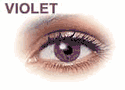 Violet Violet