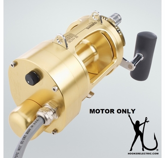 2 speed accurate star drag reel Accurate Tern2 Star Drag Conventional Reels