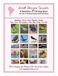 South America Writing PDF Print