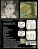 JOHN LENNON: PLASTIC ONO BAND 1970 UK FIRST PRESSING CD
