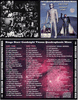 RINGO STARR: GOODNIGHT VIENNA 1974 QUAD MIXES 2 CDS