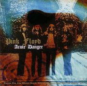 Pink Floyd (2/Cd) Acute Danger