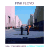 PINK FLOYD (2/CD) WISH YOU WERE HERE ALTERNATE MIXES  PINK FLOYD (2/CD) WISH YOU WERE HERE ALTERNATE MIXES