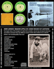 JOHN LENNON: IMAGINE APPLE 2X1 SIDED ROUGH CUT ACETATES CD