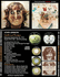 JOHN LENNON: WALLS AND BRIDGES 1974 UK VINYL PRESSING CD JOHN LENNON: WALLS AND BRIDGES 1974 UK VINYL PRESSING CD