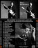 PAUL McCARTNEY TUG OF WAR DEMOS AND MORE 1980 CD PAUL McCARTNEY TUG OF WAR DEMOS AND MORE 1980 CD