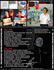PAUL McCARTNEY ELECTRIC ARGUEMENTS 2008 BONUS 2 CD PAUL McCARTNEY ELECTRIC ARGUEMENTS 2008 BONUS 2 CD