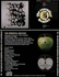 ESSENTIAL BEATLES - Australia 1972 Pressing CD ESSENTIAL BEATLES - Australia 1972 Pressing CD