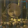 Pink Floyd (2/Cd) A Flying Pig