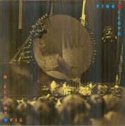Pink Floyd (2/Cd) A Flying Pig