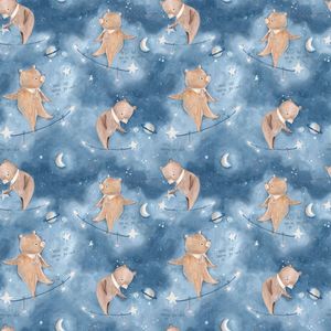 Adventures in the sky bears14654