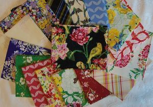 Charlottes Garden Fat Quarter Bundle by Bari J