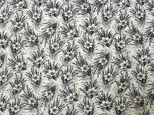 Colonies Black 19929