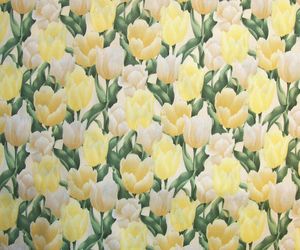 Flower Reign Tulips D830 Hoffman of California