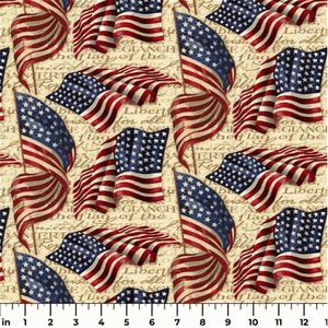 I Pledge Allegiance to the Flag