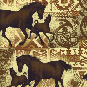 Southwestern Cowboy Prints