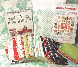 Springville Complete Quilt Kit with Light Aqua Backing