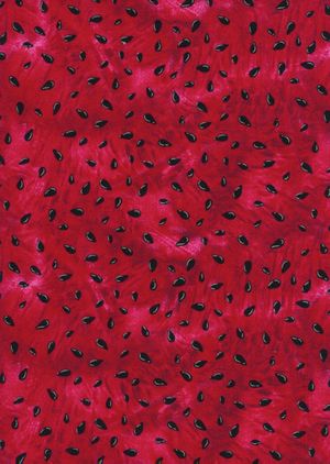 Watermelon Seeds C1173 Timeless Treasures