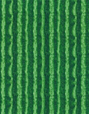 Watermelon Skin C1138 Timeless Treasures
