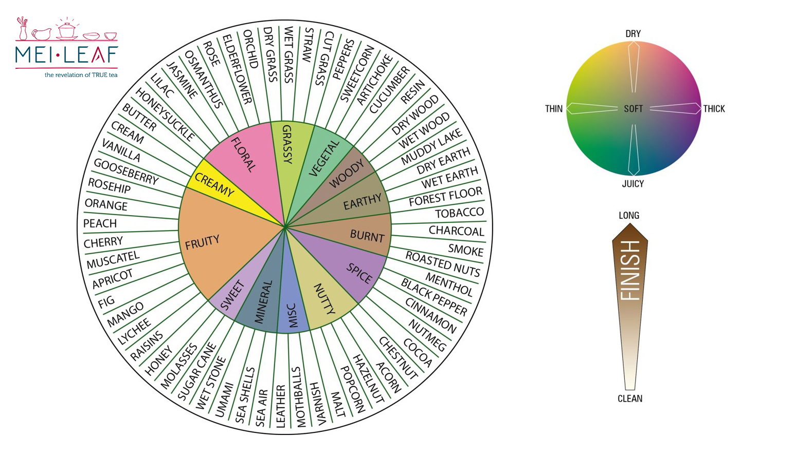 Tea Flavor Wheel