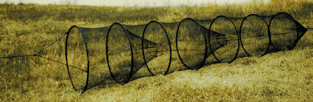 Hoop Nets and Web Only Hoop Nets and Web Only
