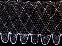 Trammel Nets