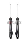 TB Parts KLX110 L & RL Fork Assembly Set, HD springs 2010-2025