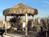 12FT Four Pole TIki Hut  With Fire Retardant Tropical Thatch Tiki Bar. Tropical Outdoor Palapa. FREE SHIPPING!