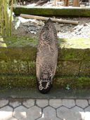 24" Wooden Surfboard with Surfer and Tropical Scene - Tiki Decor. Exotic South Seas Oceanic Art