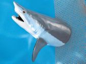 36" Giant Mako Shark Wall Mount Fish Replica Taxidermy. Tiki Bar Decoration. Tropical Island Decor .