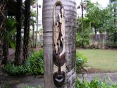 40" Large GECKO HEADDRESS with Traditional Shell Inlay. 