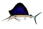 58" LARGE  Sailfish Wall Half Mount.  Fish Replica. Tropical Restaurant Tiki Decor