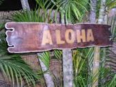 ALOHA Driftwood Sign with Nautical Rope. Hawaiian Tiki Bar Sign