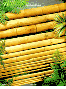 BAMBOO POLES  and BAMBOO SLATS (click here to see all...)