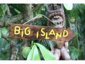 BIG ISLAND Driftwood Sign  Features Nautical Rope.  Rustic Tropical Pool Decor. Hawaiian Islands Inspired Art. Gifts with Aloha...