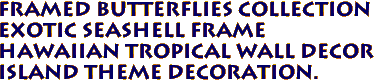 Framed Butterflies Collection
Exotic Seashell frame
Hawaiian Tropical Wall Decor
Island Theme Decoration.
