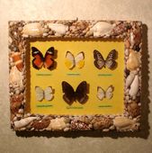 Framed Butterflies with Seashell frame. Hawaiian Tropical Wall Decor. Surfing Theme Decoration.