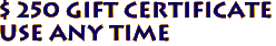 $ 250 Gift Certificate
Use any time


