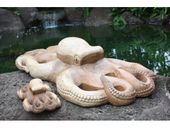 Hawaiian Octopus He'e Monkey Pod Wood Carving. Sea Life Trophy