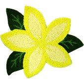 HAWAIIAN Plumeria Rug. Tropical Throw Carpet / Bath Mat