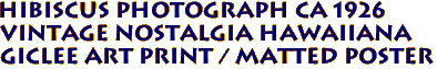 Hibiscus Photograph ca 1926
Vintage Nostalgia hawaiiana
Giclee Art Print / Matted poster