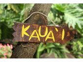 KAUAI Hawaiian Islands Driftwood Tiki Sign.  Tropical Pool Decor.  GIfts with Aloha...