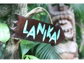 LANIKAI Hawaiian Islands Driftwood Tiki Sign and Nautical Rope Hanger. Tropical Pool Decor. Gifts with Aloha...