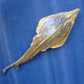 LARGE  28" x  9" Authentic Ray. Tiki Bar Decoration. Tropical Beach Hut Decor. Fishing sign / theme decor