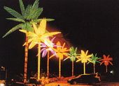 LIGHTED PALM TREES