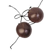 MEDIUM Coconut Biki Top Hula Girl Costume. Hawaiian Luau Party Supplies