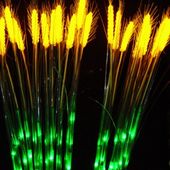 On Backorder  Natural LED Wheat Grass2