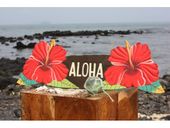 NEW!! ALOHA Tiki Bar Sign with red Hibiscus Flowers. Hawaiian Gifts with Aloha...