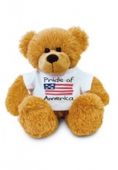 Pride of America Aloha Bear Plush Plush Toy. Hawaiian Gifs with Aloha!